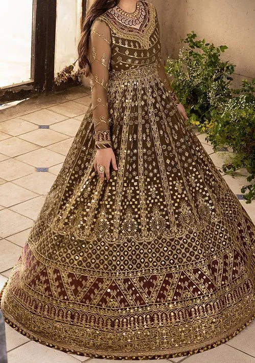 Asim Jofa Khwab Pakistani Chiffon Anarkali