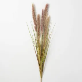 Brown Foxtail Spray