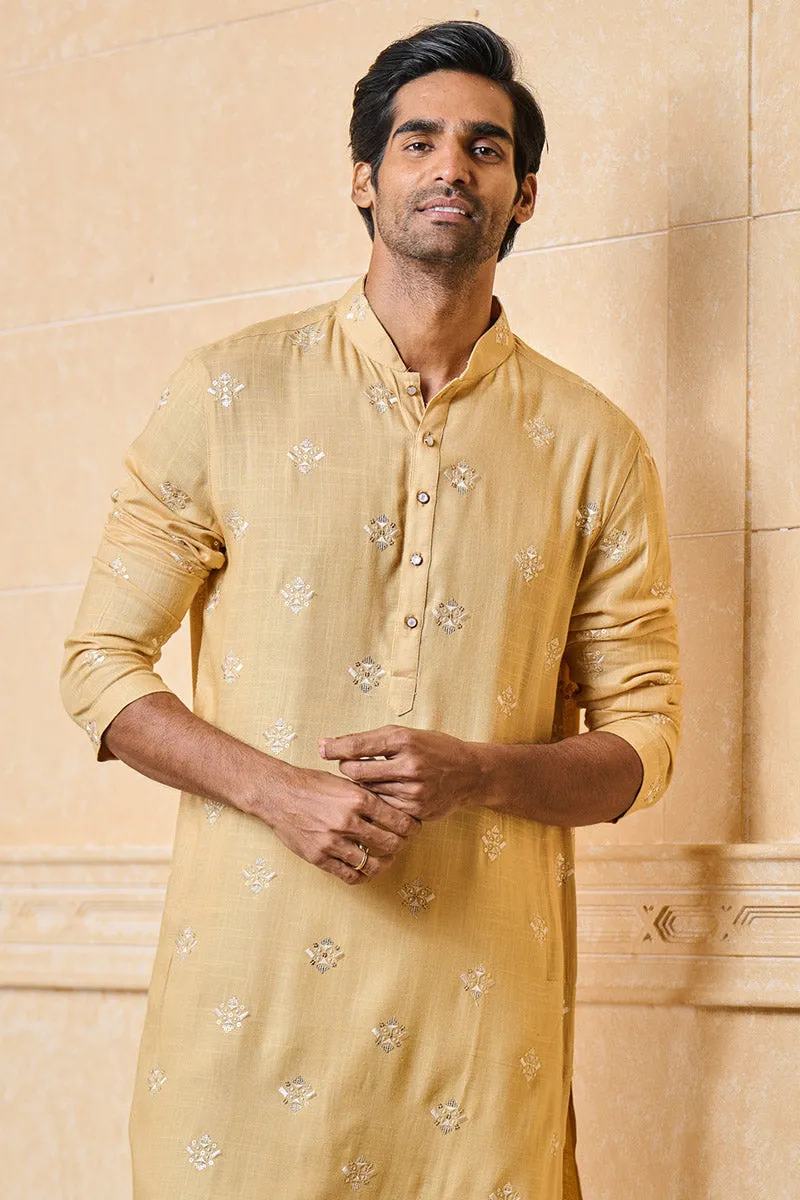 Butti embroidered Kurta set