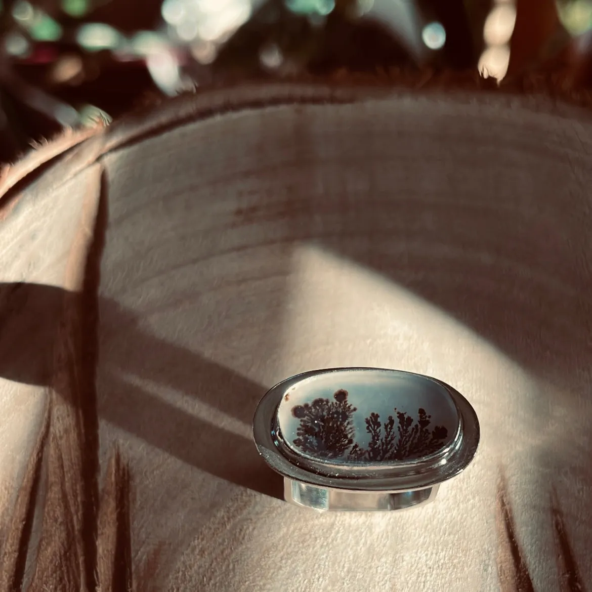 Cholla ring