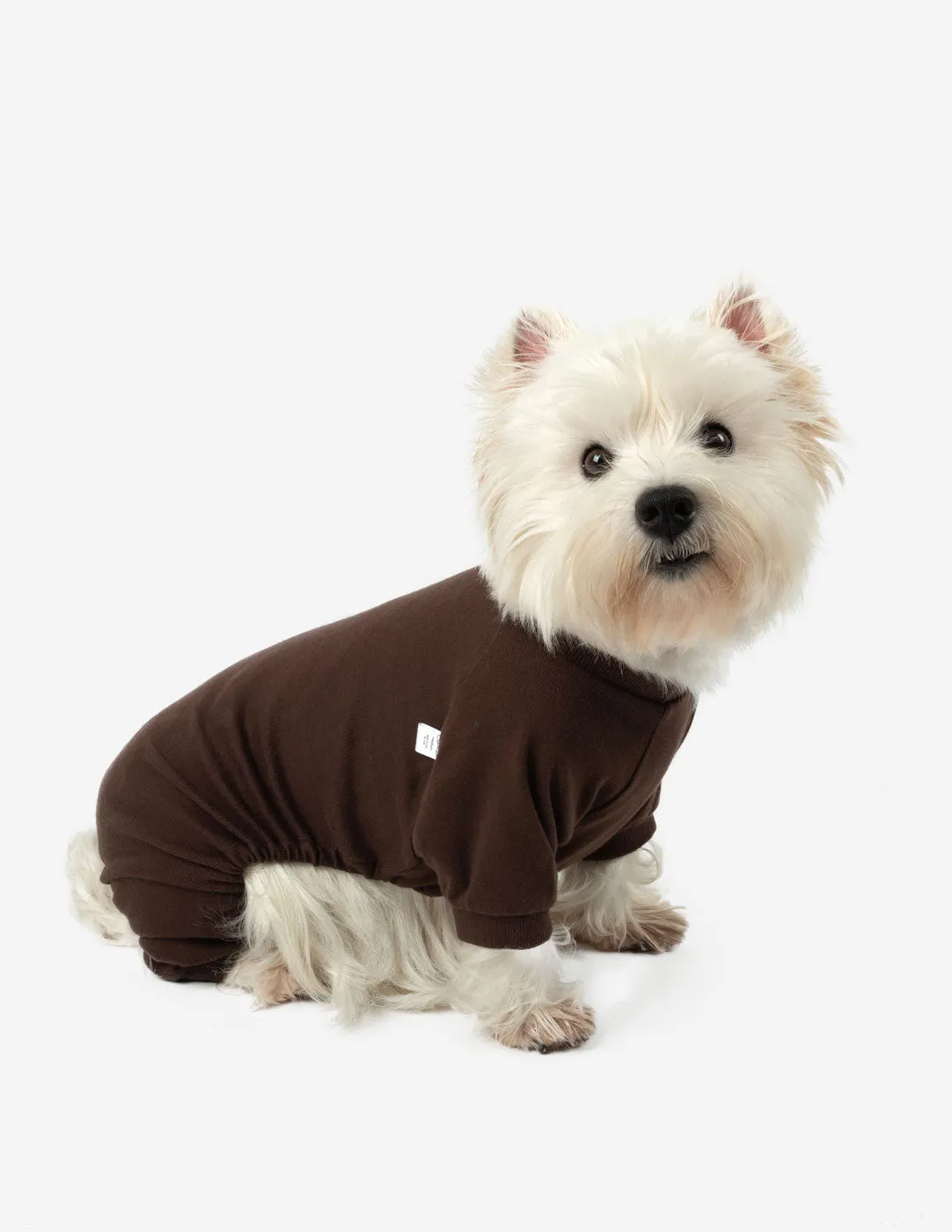 Dogs Solid Color Brown Pajamas