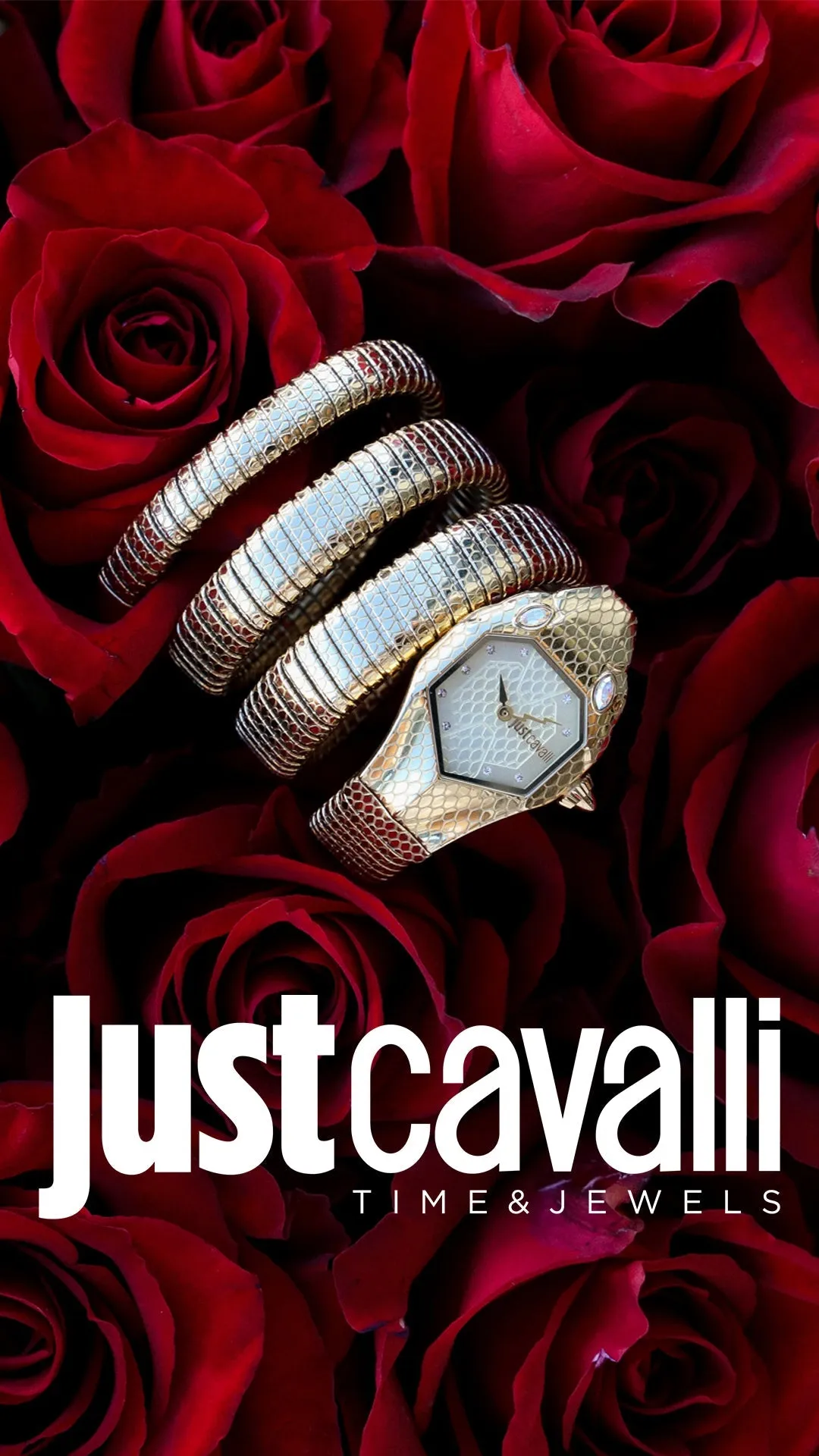 Just Cavalli Stainless Steel Analog Women's Watch JC1L168M0025