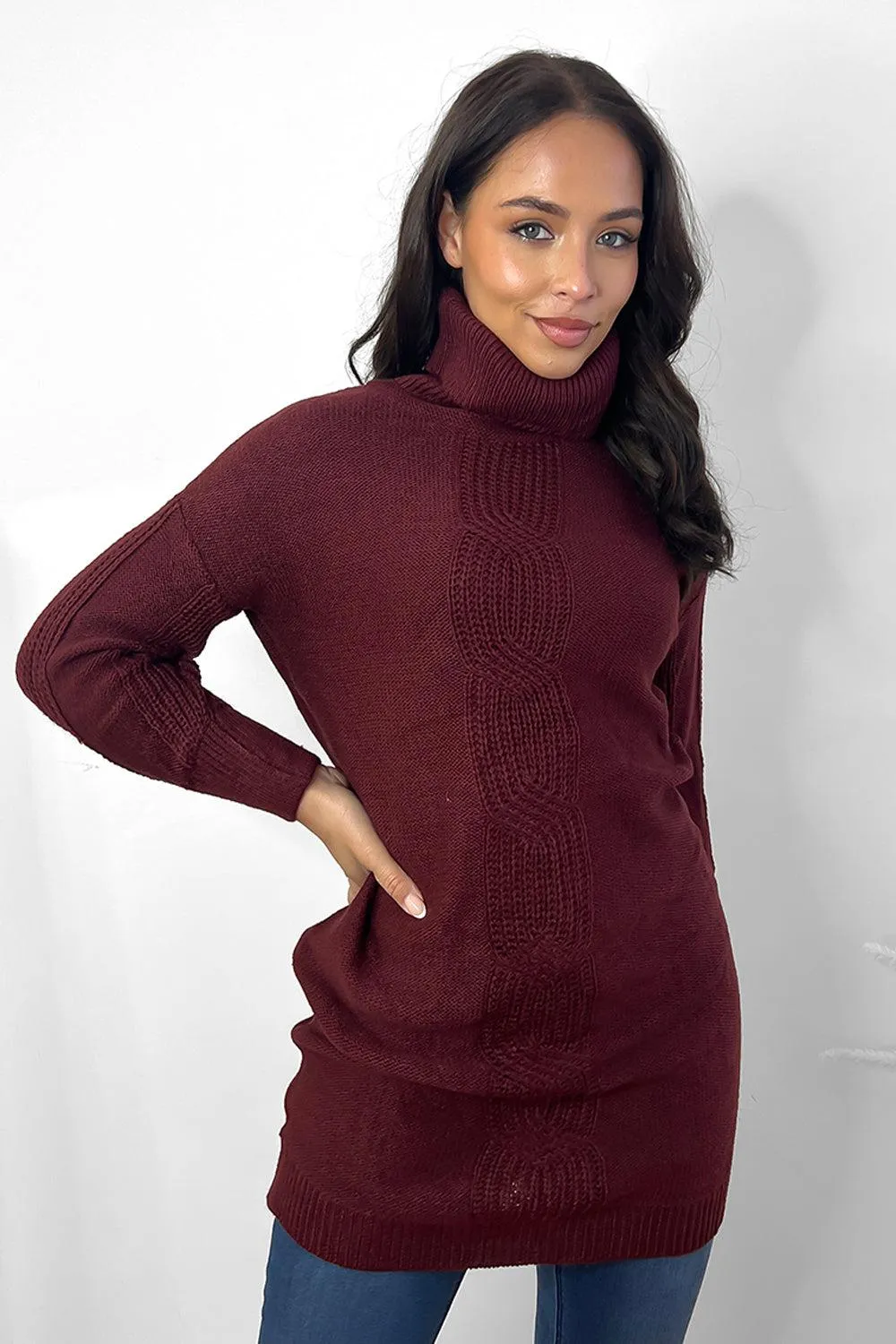 Maroon Turtle Neck Bodycon Knitted Dress