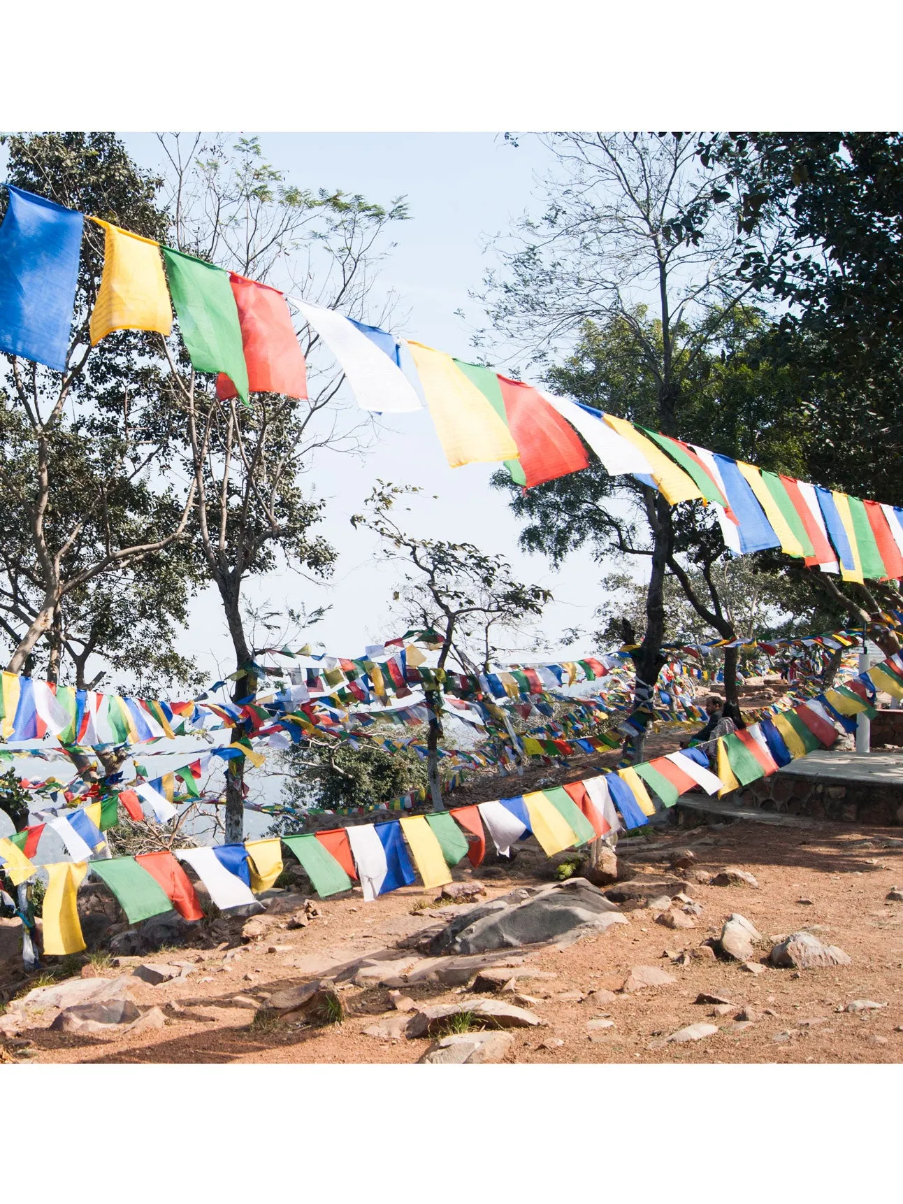 Medicine Buddha Prayer Flags