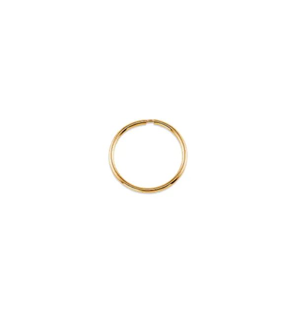 Small Dainty Hoops | 10k Yellow Gold