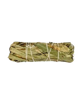 The Eucalyptus Smudge Bundle